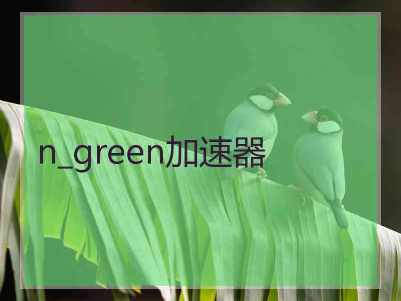 n_green加速器