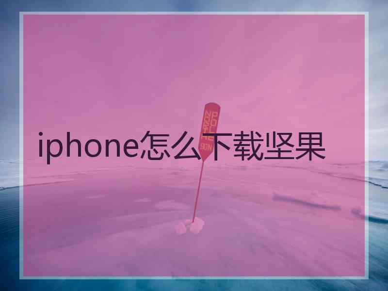 iphone怎么下载坚果