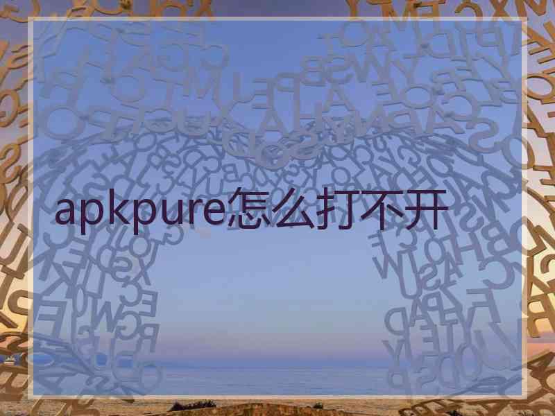 apkpure怎么打不开