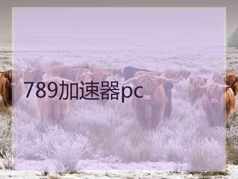 789加速器pc