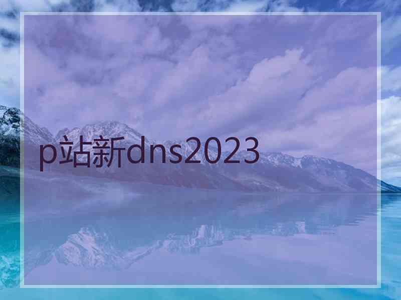 p站新dns2023