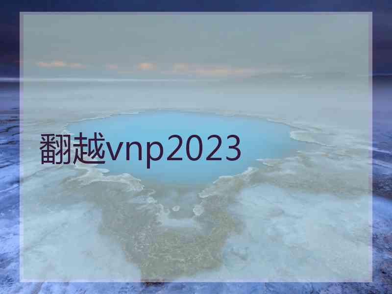 翻越vnp2023