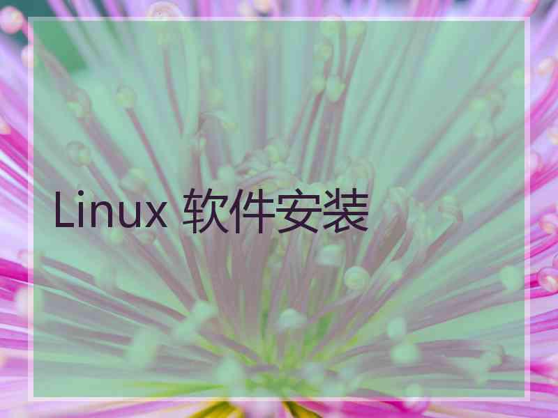 Linux 软件安装