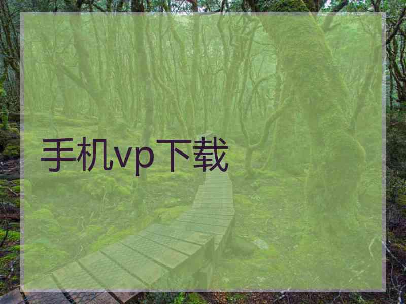 手机vp下载