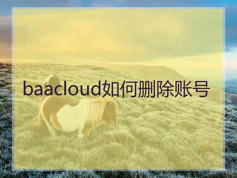 baacloud如何删除账号