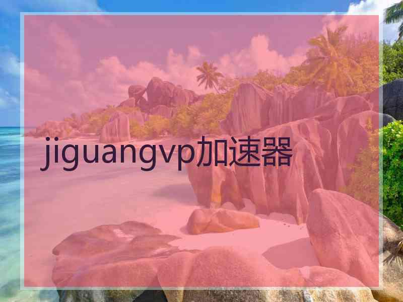 jiguangvp加速器